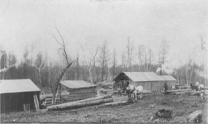 Logging in Hennig