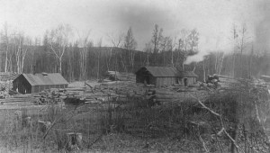 Logging in Hennig
