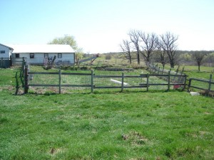 In front of the right side of the white building (present milking barn) is the remains of the cement foundation of the original barn.